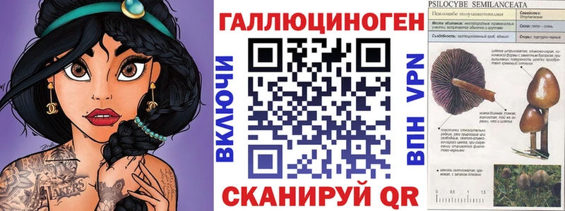 Псилоцибиновые грибы Psilocybe  закладки  Юрьевец 