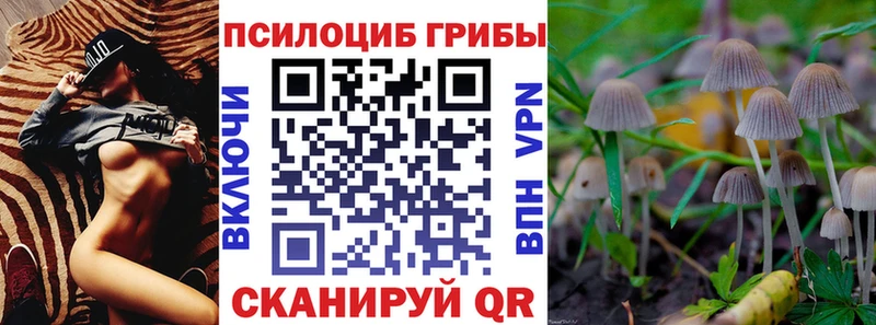 Галлюциногенные грибы ЛСД Юрьевец